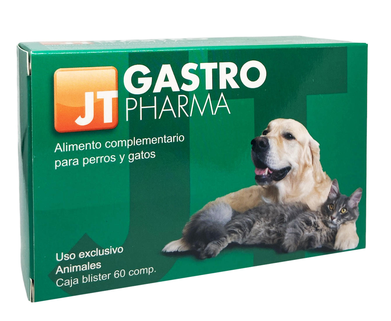 JT PHARMA Gastro 60 tabl. - Päiväys 03/2025